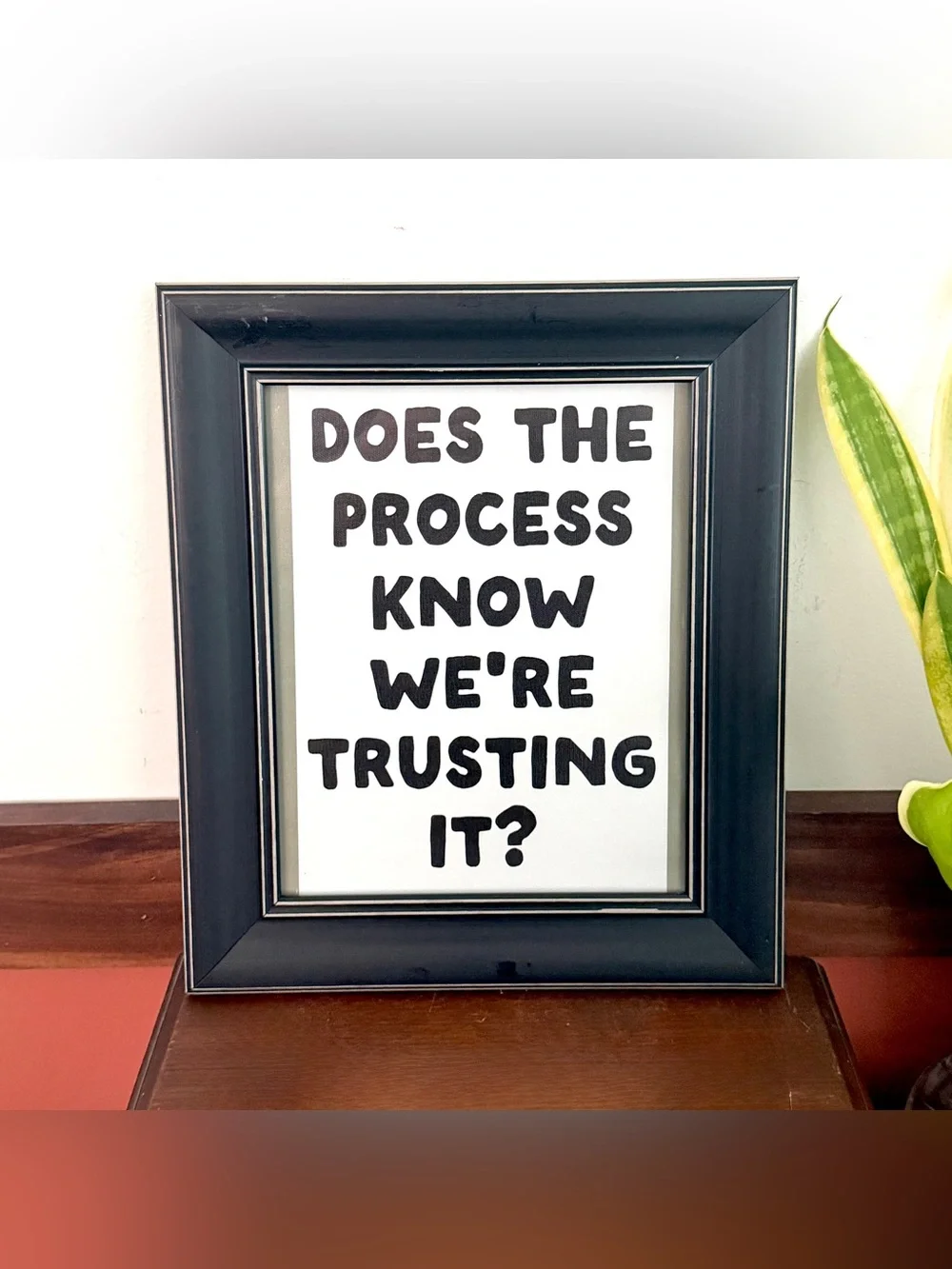 Does the Process Know We’re Trusting It? Canvas Art Print Funny Framed Wall Art